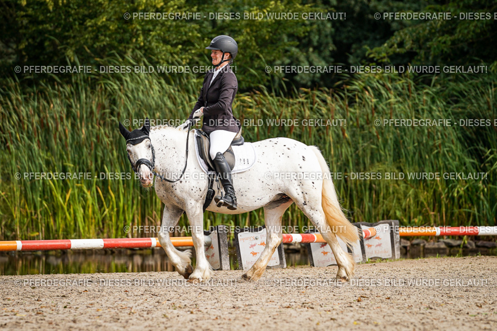 DSC01067 | Pferdegrafie