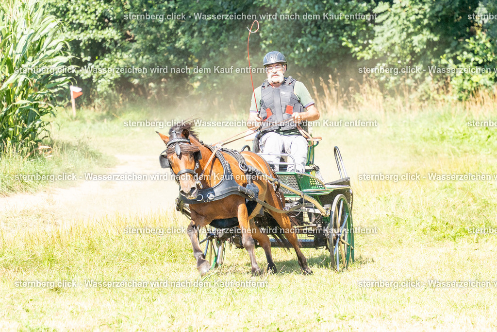 2026-08-08_14-36-26_WBO_Pulsnitz | sternberg.click - Realisiert mit Pictrs.com