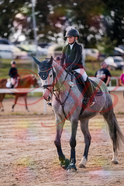 2026_10_03_Siefer-Hof_144949_Z81_27974874 | Professionelle Reitsport-, Turnier- und Eventfotografie von Robert Broda. Galerien mit ausgewählten und bearbeiteten Bildern direkt online ansehen und bestellen.