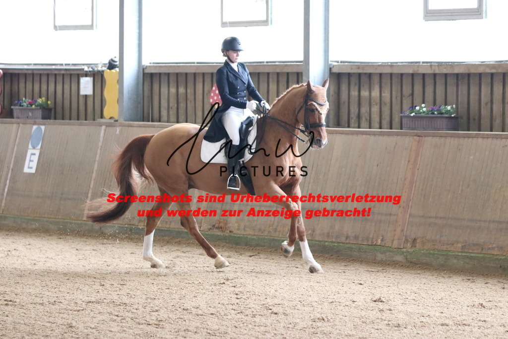 IMG_0603 | lmwpictures - Realisiert mit Pictrs.com