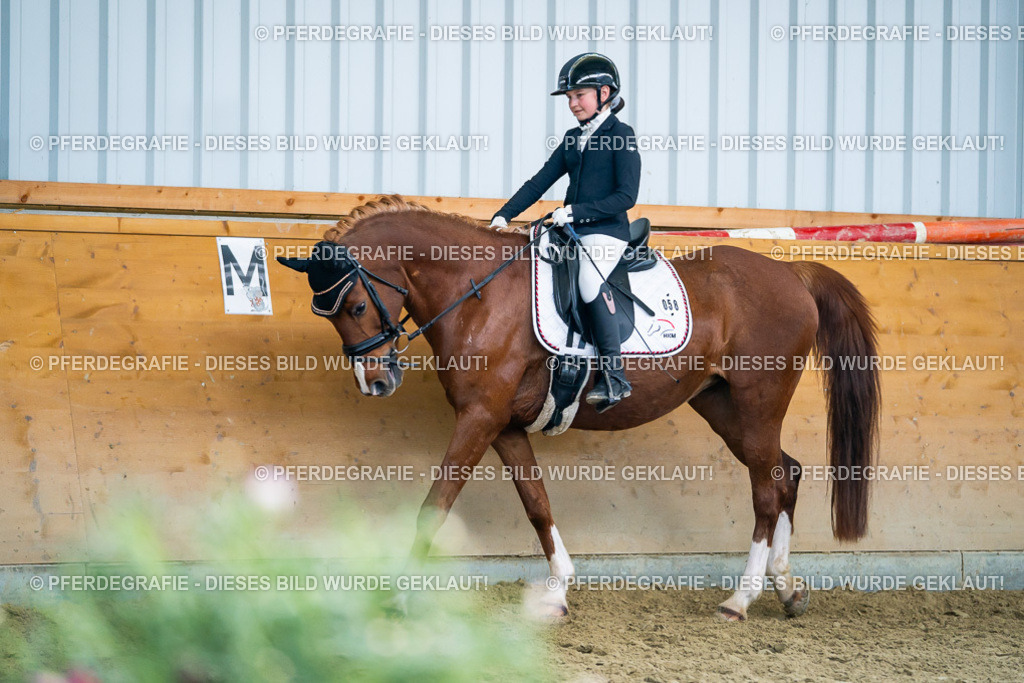 DSC05199 | Pferdegrafie