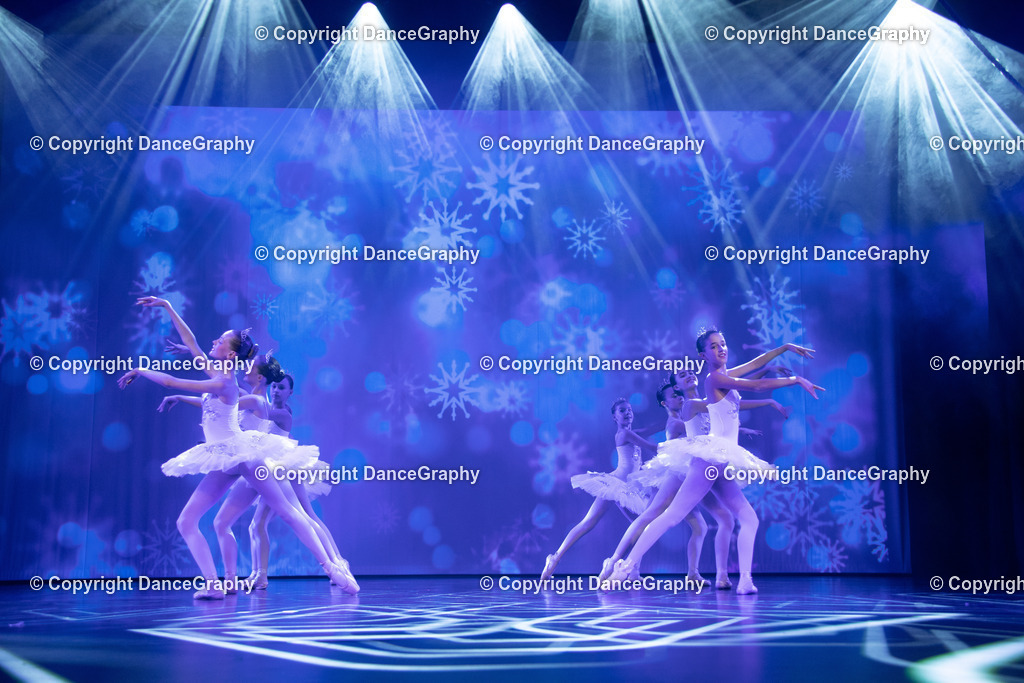 GPHY3505 | DanceGraphy - Realisiert mit Pictrs.com