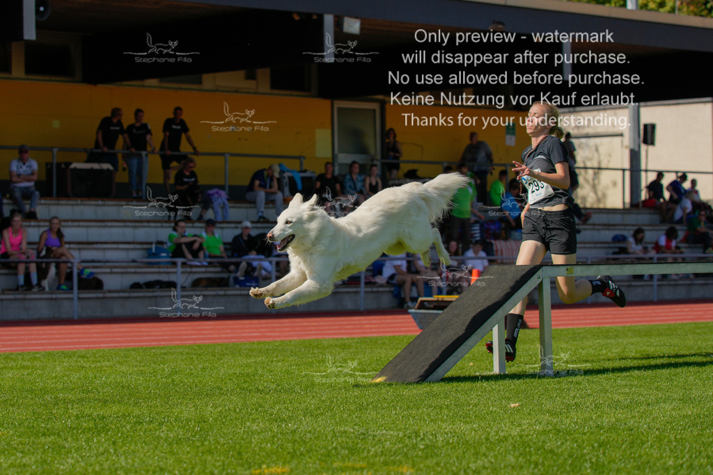 Sonntag_VK Hindernis (625 von 671) | stephaniefillaphotographie - Realisiert mit Pictrs.com