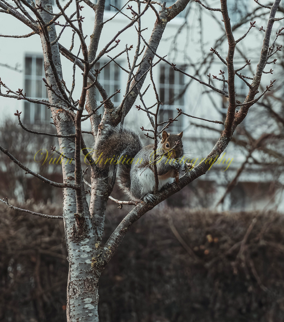 P 31 | Christian Vulin  - Realisiert mit Pictrs.com