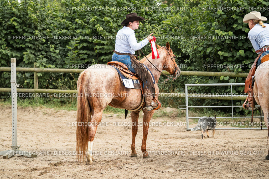 DSC04684 | Pferdegrafie