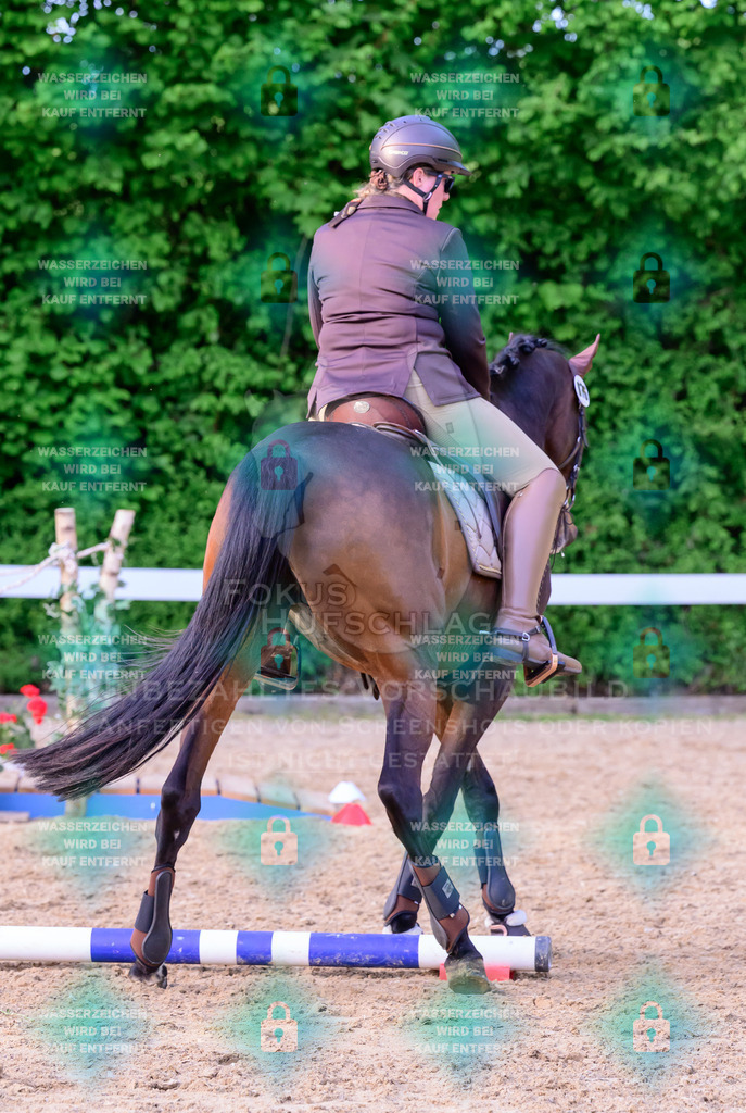 02052026-Giesenbach-03-Speedtrail-1118 | Fokus Hufschlag Fotografie - Realisiert mit Pictrs.com