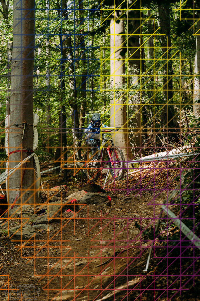 PAE-1389 | Einzigartige Fotokunst für dein Zuhause: Entdecke hochwertige Wandbilder, edle Prints und emotionale Motive von Wildlife, Natur und Landschaften - Realisiert mit Pictrs.com