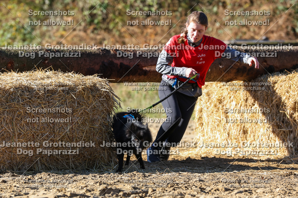 Dog Paparazzi - Strongdog 10-25-2513 | Dog Paparazzi Jeanette Grottendiek Fotografie & Videografie