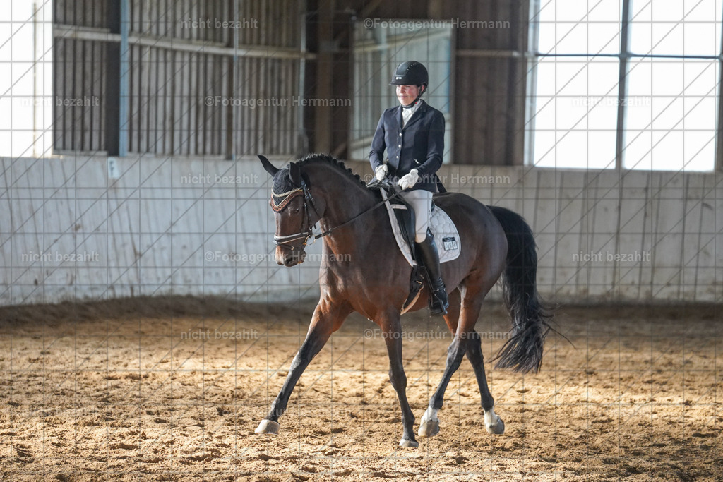 20230917-FAH00011 | Landsberg am Lech, 2023, Kaufbeuren, Kempten, Allgäu, Turnierfotografen Bayern, Fotoagentur Herrmann, Turnierbilder, Reitsport Fotos, Pferdefotograf, Augsburg, Bad Tölz, Dachau, Karlsfeld, Memmingen, Buchloe, Schwabmünchen
