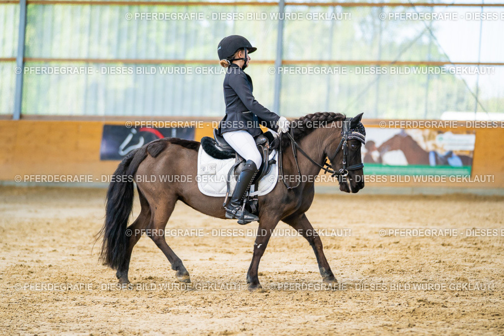 DSC06661 | Pferdegrafie