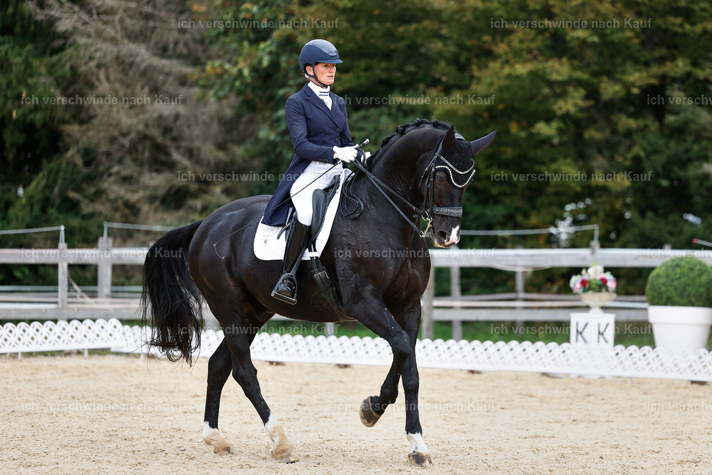 11-042-Dressur S___-StoibPH-1164 | working equitationturnier fotograf videograf stoibphotography marixx film working equitation deutschland reitsport turnierfotografie eventfotografie equestrian events