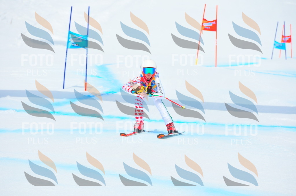 DSC_1886 | holidayphoto