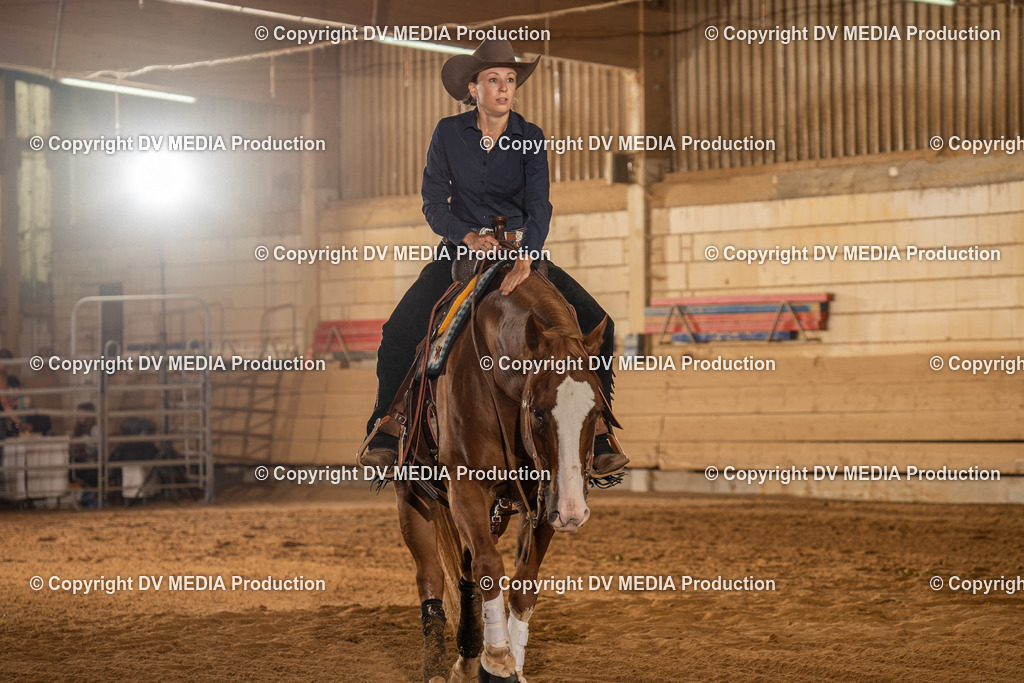 NID02008 | dv-media-shop - Realisiert mit Pictrs.com