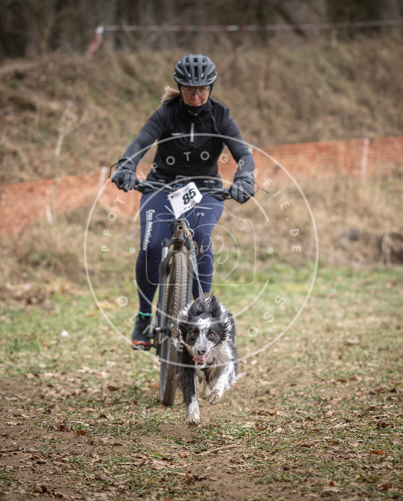 Pfotenfotografie_DV3A5824 | Hundefotografie, Tierfotograf, Pfotenfotografie, Fotoshooting Hund, Hunde Portrait, Hundesport, Hundeportraits, Heideshooting, Hunde, Sportfotograf, Hundefotograf, Turnierhundsport, THS,  - Realisiert mit Pictrs.com