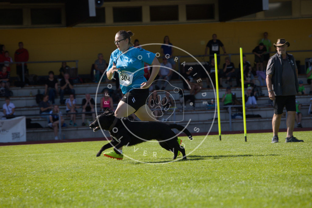 0L8A7440 | Hundefotografie, Tierfotograf, Pfotenfotografie, Fotoshooting Hund, Hunde Portrait, Hundesport, Hundeportraits, Heideshooting, Hunde, Sportfotograf, Hundefotograf, Turnierhundsport, THS,  - Realisiert mit Pictrs.com