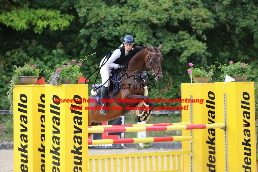 IMG_9990 | lmwpictures - Realisiert mit Pictrs.com