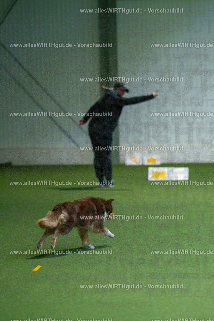 7R502821 | Professionelle Tierfotografie in Mönchengladbach von Daniel Wirth (allesWIRTHgut). Liebevolle & natürliche Bilder von Hunden & Katzen für unvergessliche Erinnerungen.