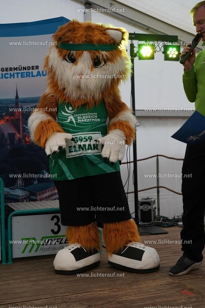 DSC05165 | Lichterlauf  - Realized with Pictrs.com