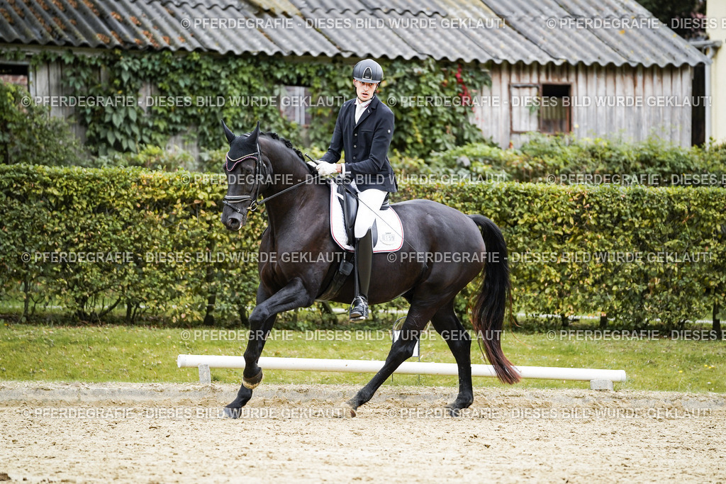 DSC09369 | Pferdegrafie