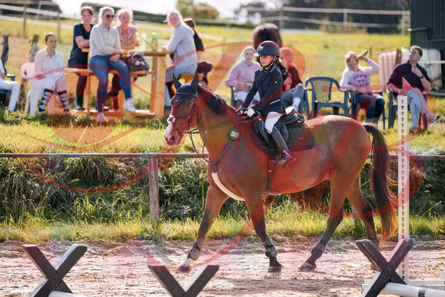 2026_10_03_Siefer-Hof_143833_Z81_09032980 | Professionelle Reitsport-, Turnier- und Eventfotografie von Robert Broda. Galerien mit ausgewählten und bearbeiteten Bildern direkt online ansehen und bestellen.