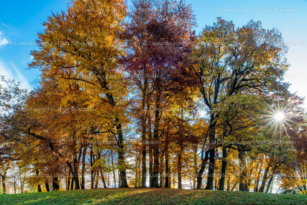 10049-4701 - Schloss und Schlosspark Harbke | Stockfoto und Bilderpool mit Bildmaterial aus Deutschland, dem Harz, Halberstadt, Quedlinburg, Wernigerode und weltweit. Qualitativ hochwertige und professionelle Fotos anschauen und kaufen. - Realisiert mit Pictrs.com