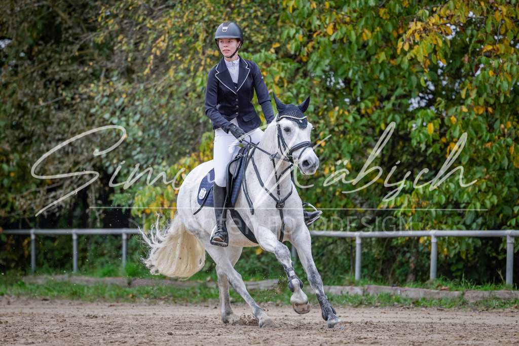 20251012-_3LI3568 | Tierfotografie Pferde, Hunde, Katzen, Haustiere.
Turnierfotografie Reitturniere, Reiten, Springreiten, Dressur in Hanau, dem Main-Kinzig-Kreis und dem Rhein-Main- Gebiet um Frankfurt