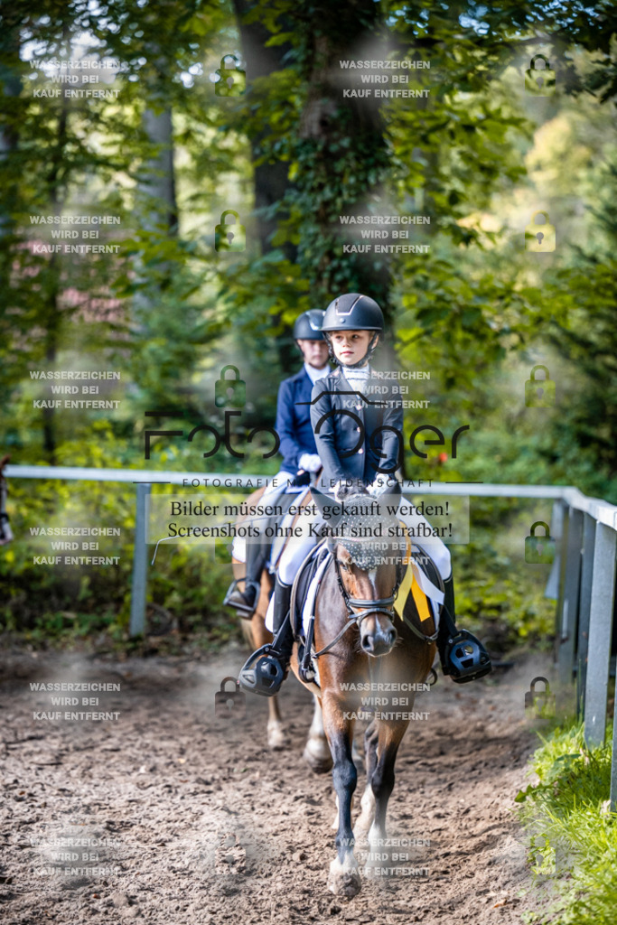 2026-10-Helle-20-4-0067 | Entdecke hochwertige Reitturnierfotos von Foto Oger. Professionell, emotional und authentisch – jetzt Lieblingsmomente im Shop bestellen.Deutschlandweite Turnierfotografie. - Realisiert mit Pictrs.com