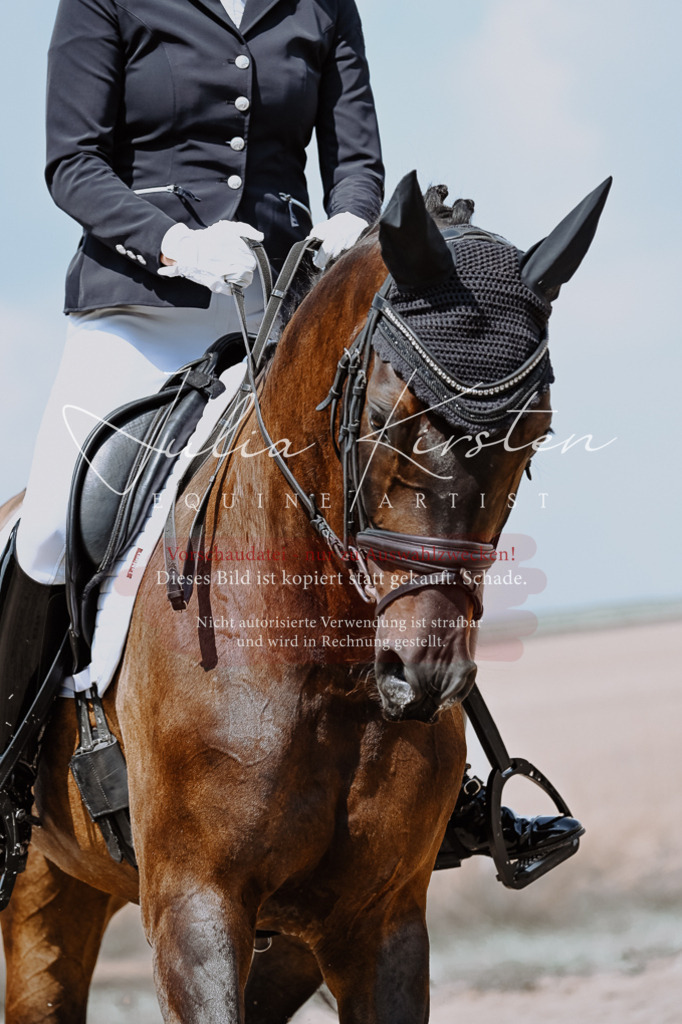DSC_2690 | Pferde- und Turnierfotografie in Westsachsen. Pferdeportraits, Auftragszeichnungen und intuitive Kunst.