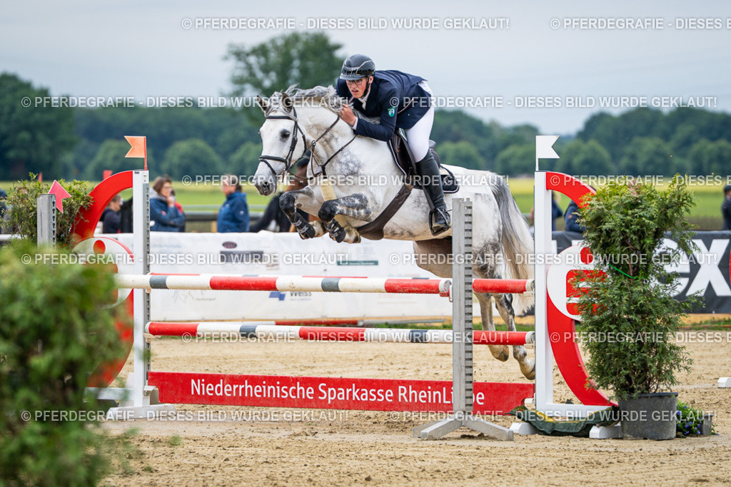 DSC04809 | Pferdegrafie