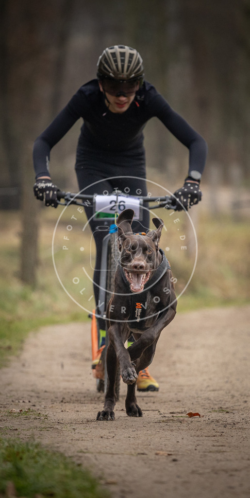 Pfotenfotografie_DV3A2121 | Hundefotografie, Tierfotograf, Pfotenfotografie, Fotoshooting Hund, Hunde Portrait, Hundesport, Hundeportraits, Heideshooting, Hunde, Sportfotograf, Hundefotograf, Turnierhundsport, THS,  - Realisiert mit Pictrs.com
