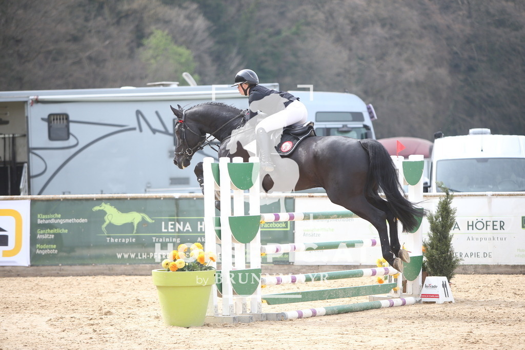 PP018105 | Willkommen bei Brunnmayr - Design & Fotografie – Ihrem Spezialisten für Reitturniere und Pferdeveranstaltungen in Oberösterreich, Salzburg und Bayern! Seit über 17 Jahren sind wir leidenschaftlich dabei.