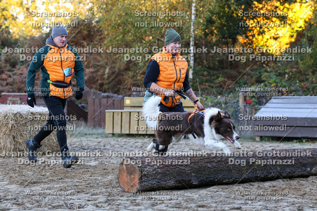 Dog Paparazzi - Strongdog 10-25-318 | Dog Paparazzi Jeanette Grottendiek Fotografie & Videografie - Realisiert mit Pictrs.com