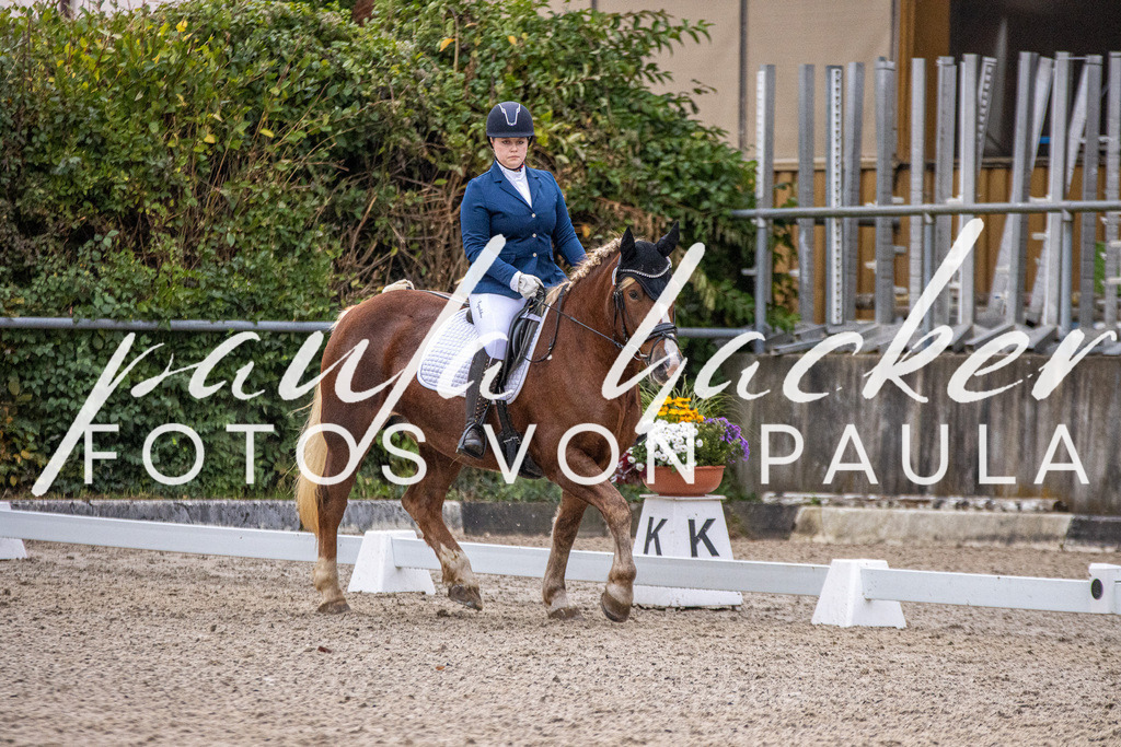 IMG_2552 | Erleben Sie dynamische Sport- und emotionale Tierfotografie in Süddeutschland mit Fotos von Paula. Spezialisiert auf Pferde- und Hundefotografie sowie Sportevents. Kontaktieren Sie mich für einzigartige und ausdrucksstarke Bilder Ihrer besonderen Momente.