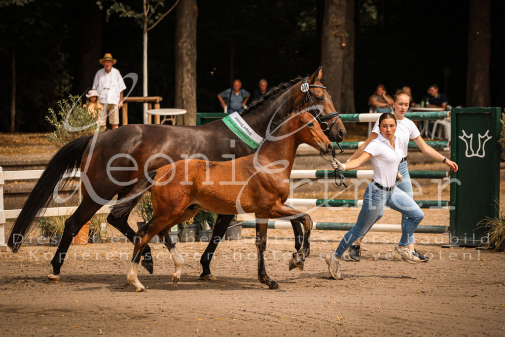 SaPA00014 | Leoni Ertmer Photography - Realisiert mit Pictrs.com