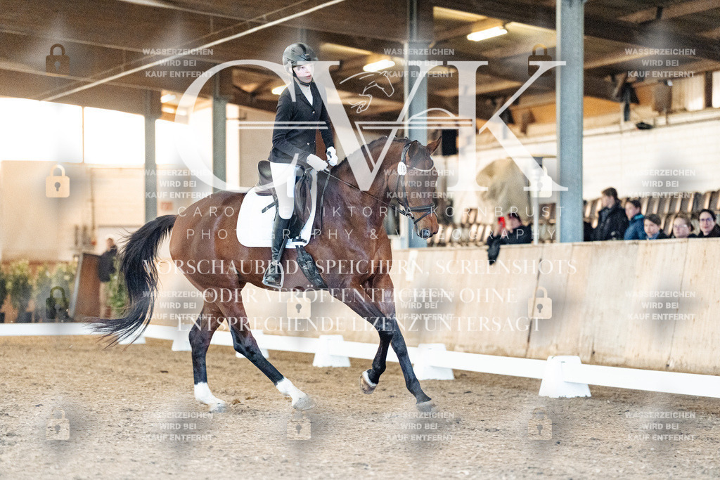 CK906500 | Turnierfotografie Pferdefotografie Trier Rheinland-Pfalz Pferdesport Reitsport Tierfotografie Sportfotografie Pferdevideo Pferdevideografie Equestrianvideography equestrianphotography  - Realisiert mit Pictrs.com