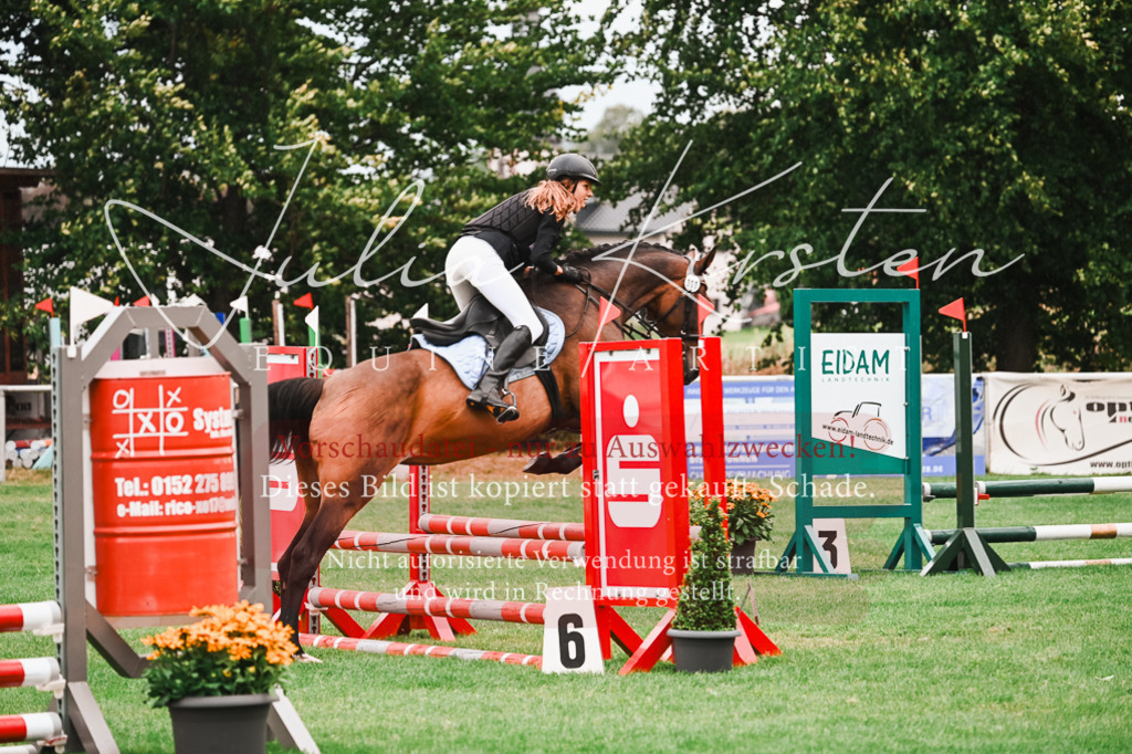 DSC_5870 | Pferde- und Turnierfotografie in Westsachsen. Pferdeportraits, Auftragszeichnungen und intuitive Kunst.