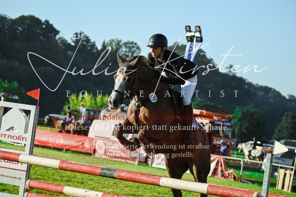 DSC_4026 | Pferde- und Turnierfotografie in Westsachsen. Pferdeportraits, Auftragszeichnungen und intuitive Kunst.