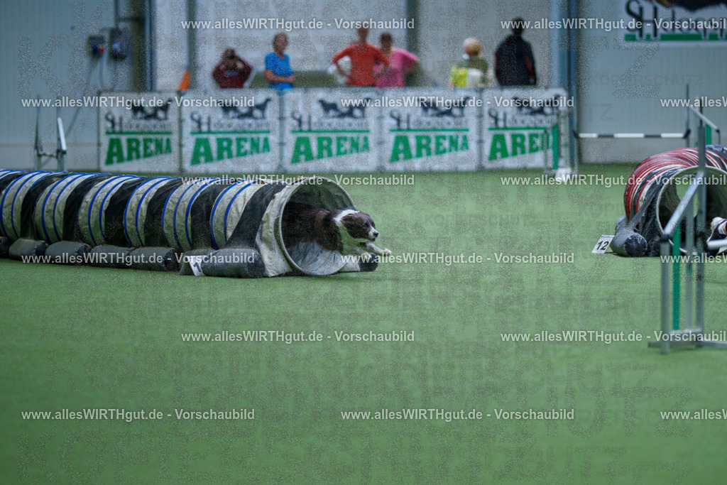 @allesWIRTHgut_Tierfotografie - www.allesWIRTHgut.de - 2604251109-7R501276 | Professionelle Tierfotografie in Mönchengladbach von Daniel Wirth (allesWIRTHgut). Liebevolle & natürliche Bilder von Hunden & Katzen für unvergessliche Erinnerungen.