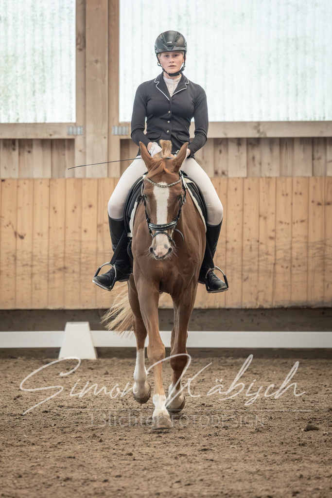 20251011-_3LI7002 | Tierfotografie Pferde, Hunde, Katzen, Haustiere.
Turnierfotografie Reitturniere, Reiten, Springreiten, Dressur in Hanau, dem Main-Kinzig-Kreis und dem Rhein-Main- Gebiet um Frankfurt
