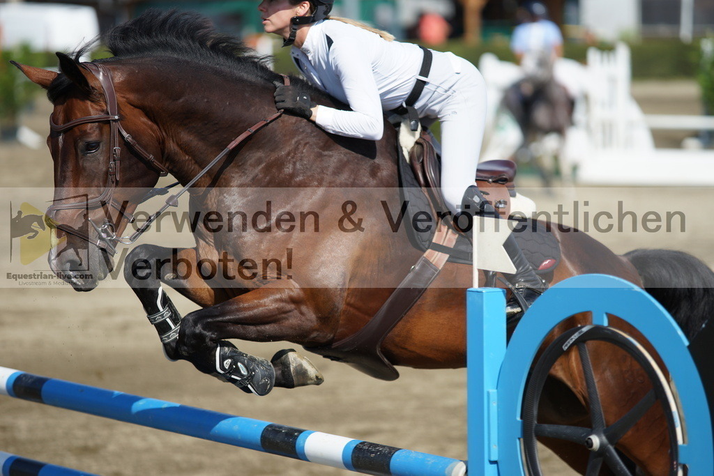 DSC00393 | equestrian-live-com