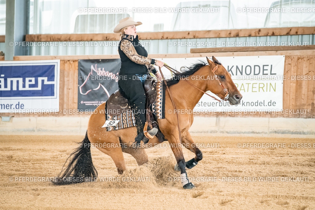 DSC03067 | Pferdegrafie