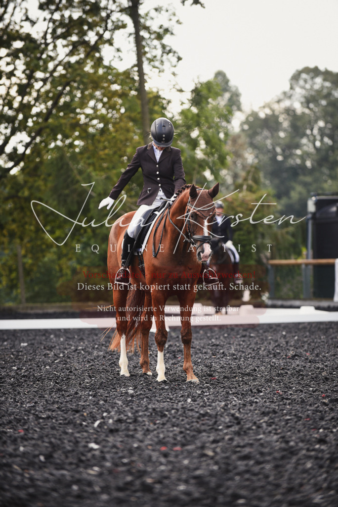 DSC_3984 | Pferde- und Turnierfotografie in Westsachsen. Pferdeportraits, Auftragszeichnungen und intuitive Kunst.