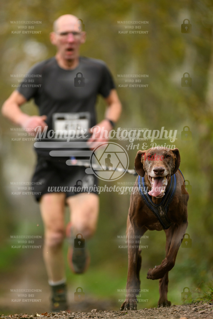 MompixPhotography_20TSB_E6_Run-131 | PayLife