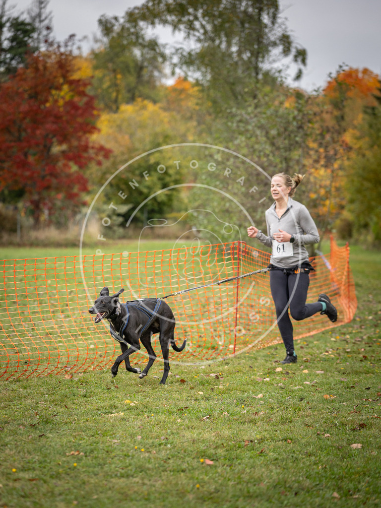 Pfotenfotografie_DV3A2682 | Hundefotografie, Tierfotograf, Pfotenfotografie, Fotoshooting Hund, Hunde Portrait, Hundesport, Hundeportraits, Heideshooting, Hunde, Sportfotograf, Hundefotograf, Turnierhundsport, THS,  - Realisiert mit Pictrs.com