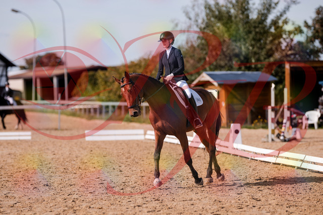 2026_10_03_Siefer-Hof_130729_Z81_58457986 | Professionelle Reitsport-, Turnier- und Eventfotografie von Robert Broda. Galerien mit ausgewählten und bearbeiteten Bildern direkt online ansehen und bestellen.