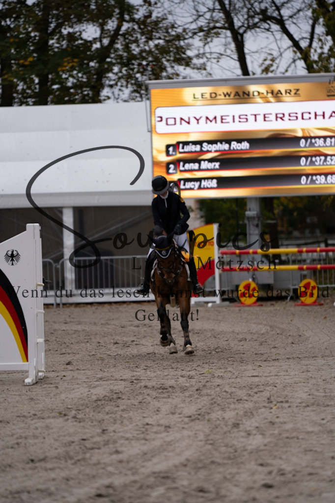 A7V01160 | Pferdefotograf