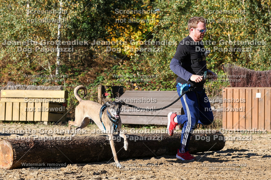 Dog Paparazzi - Strongdog 10-25-1971 | Dog Paparazzi Jeanette Grottendiek Fotografie & Videografie - Realisiert mit Pictrs.com