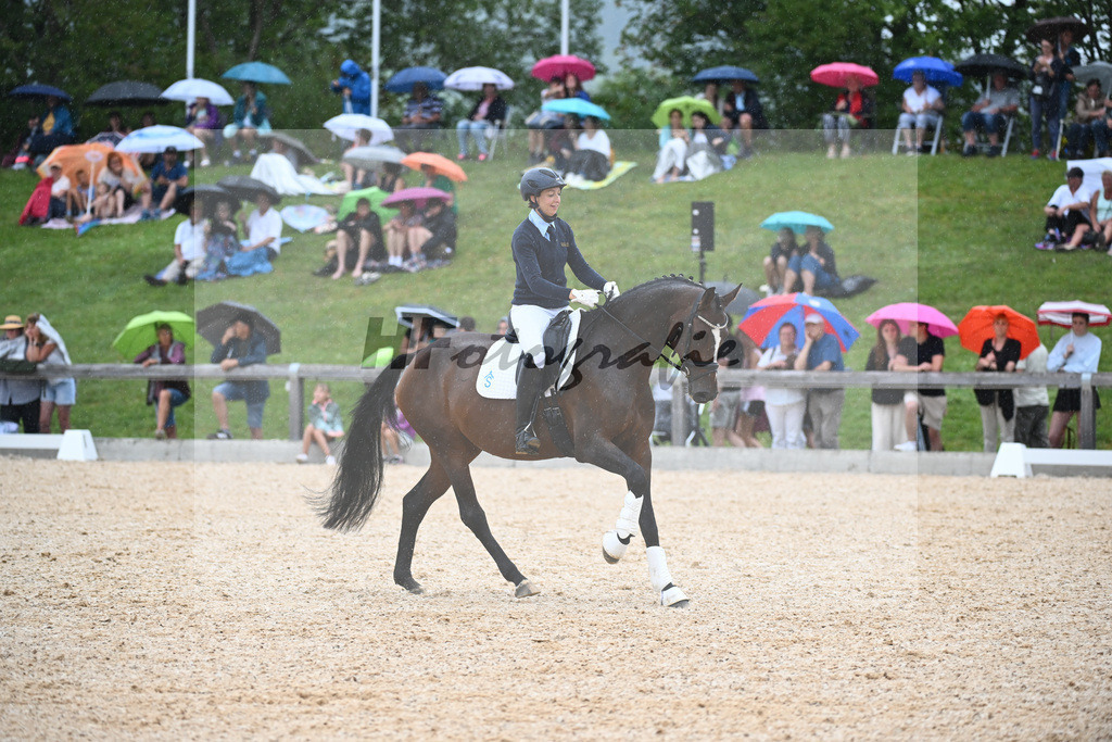 Sparten des Reitsports aus der eigenen Zucht_36240939 | hf-fotografie - Realisiert mit Pictrs.com