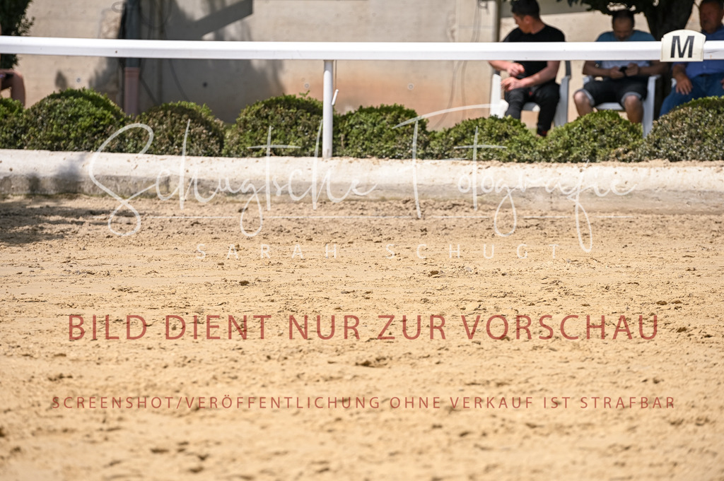 Schugtsche-Aluta25-55.Dressurreiterprf.L1Tr-36 | Schugtsche Fotografie - Realisiert mit Pictrs.com