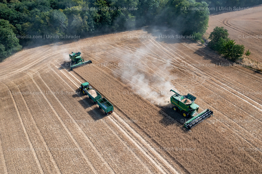 10049-51588 - Getreideernte | Stockfoto und Bilderpool mit Bildmaterial aus Deutschland, dem Harz, Halberstadt, Quedlinburg, Wernigerode und weltweit. Qualitativ hochwertige und professionelle Fotos anschauen und kaufen. - Realisiert mit Pictrs.com